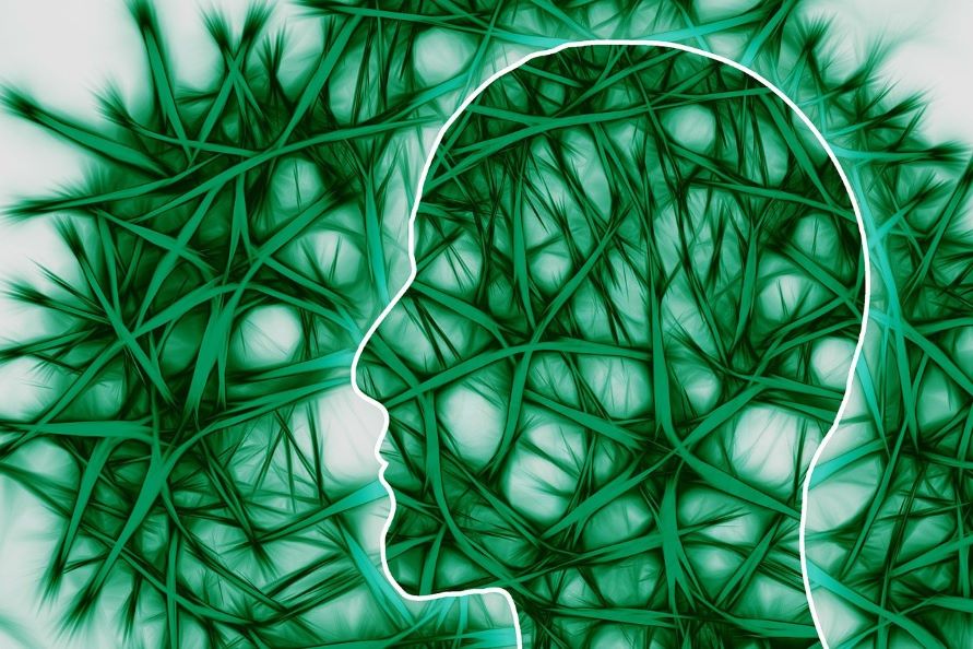 conexiones neuronales